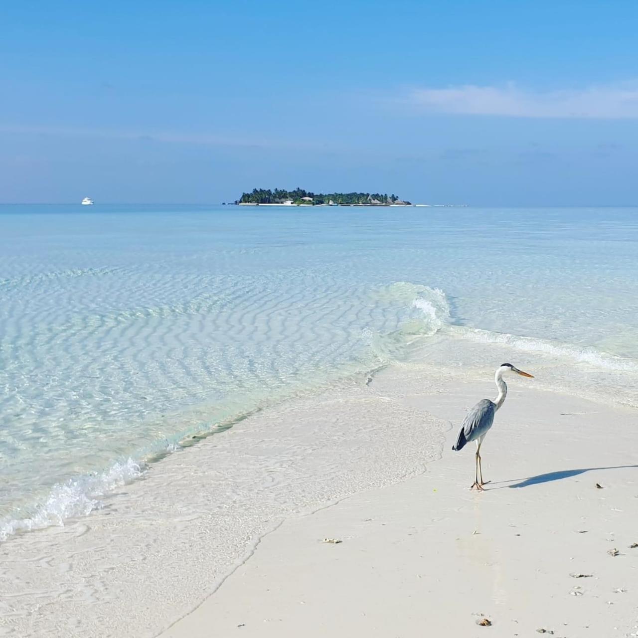 Ukulhas Villa Beach Hotel Exterior foto